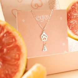 Cadena huella e inicial